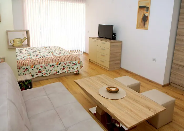 Lejlighed Center Sandanski